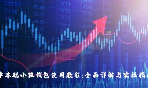 中本聰小狐錢包使用教程：全面詳解與實操指南