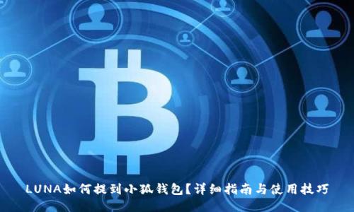 LUNA如何提到小狐錢包？詳細(xì)指南與使用技巧