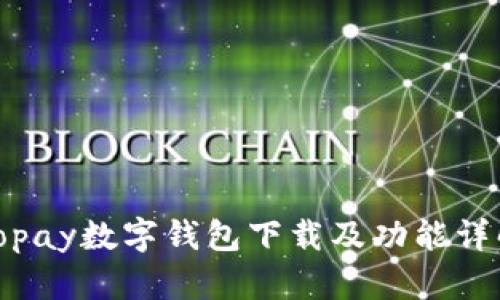 Topay數(shù)字錢包下載及功能詳解