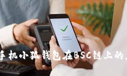 全面解析：手機(jī)小狐錢包在BSC鏈上的應(yīng)用與優(yōu)勢