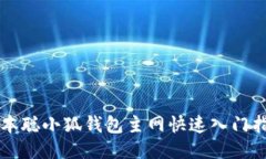 中本聰小狐錢包主網快速